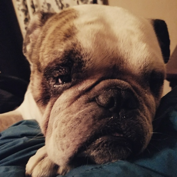 Meet your Posher, Kelly - Picture 3 of 4